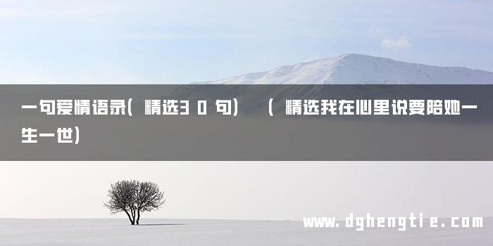 一句爱情语录（精选30句） （精选我在心里说要陪她一生一世）